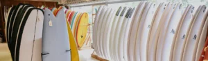 Surf shop