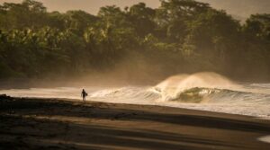 Surfer_walking_towards_wave