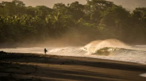 Surfer_walking_towards_wave