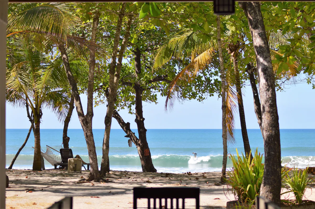 View of Santa Teresa beach waves framed through palm trees